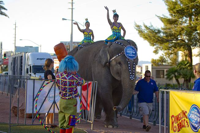 Cossack Riders Albina Tanasheva, left, and Maria Maltseva of the Ringling Bros. and Barnum & Bailey Circus ride Asian elephants to the Welcome to Fabulous Las Vegas sign Wednesday, June 18, 2014. The circus performs at Thomas & Mack Center Thursday through Sunday.