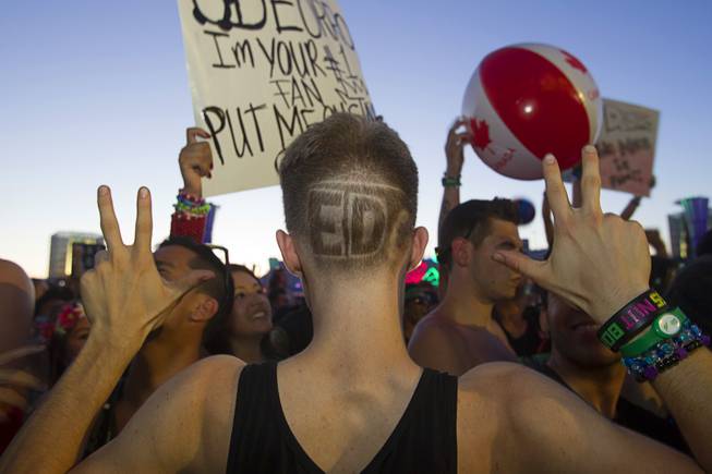 Jesse Berube of Dallas-Ft. Worth shows off his haircut during the final day of the 2014 Electric Daisy Carnival (EDC) at the Las Vegas Motor Speedway Sunday, June 22, 2014.