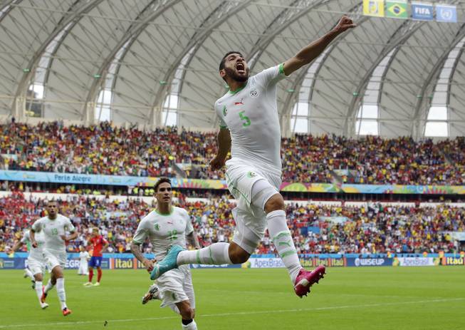 Algeria's Rafik Halliche (5) celebrates after scoring his side's second goal during the group H World Cup soccer match between South Korea and Algeria at the Estadio Beira-Rio in Porto Alegre, Brazil, Sunday, June 22, 2014.
