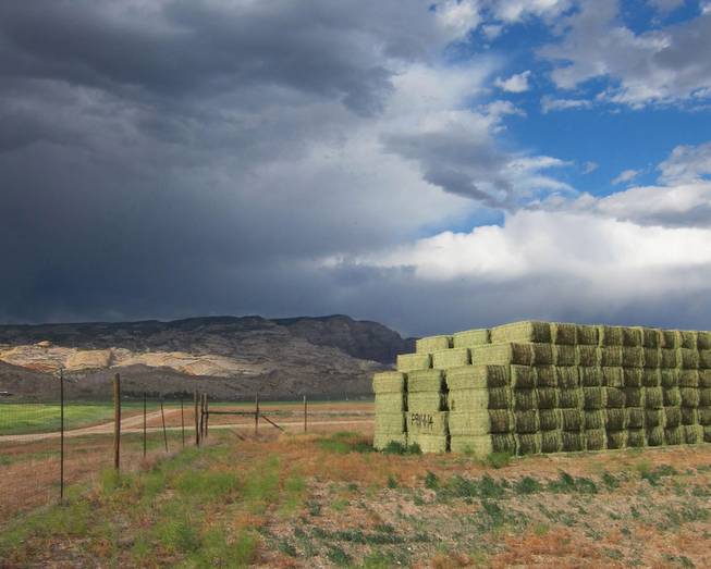 Hay bales rest in a field at the Escalante Ranch, a 22,000 ranch in northeast Utah owned by a Chinese company that supplies alfalfa to China&apos;s dairy industry. In the background, dark clouds hang over the nearby Dinosaur National Monument near Jensen, Utah, June 11, 2014.