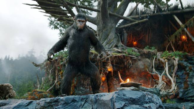 This photo released by Twentieth Century Fox Film Corp. shows Andy Serkis as Caesar in a scene from "Dawn of the Planet of the Apes."