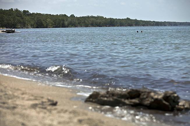 In this July 2, 2014, photo, people swim in the waters of the Caribbean on Batabano beach, where deforestation has been extreme, in Batabano, Cuba. 