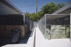 Dog kennels with indoor and outdoor access at the Lied Animal Shelter Tuesday, July 22, 2014.
