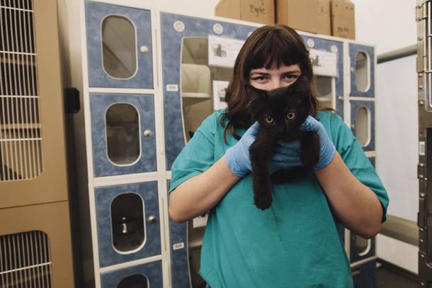 Volunteer Shayanne Sattley holds a kitten named Disc who is waiting to be adopted at the Lied Animal Shelter Tuesday, July 22, 2014.
