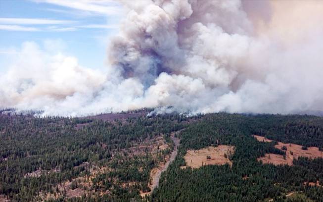 This Aug. 1, 2014, photo provided by the U.S. Forest Service shows the Eiler Fire burning Old Station, Calif. The Eiler Fire near Old Station has consumed nearly 23,000 acres and destroyed eight homes in the process, according to fire officials, Sunday, Aug. 3, 2014.