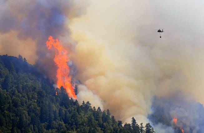 An Air National Guard helicopter moves in to make a water drop as the Lodge Fire Complex between Leggett and Laytonville, Calif., on Friday, Aug. 8, 2014. Officials say eight firefighters who suffered burns while battling a wildfire in Northern California have been taken to the hospital.