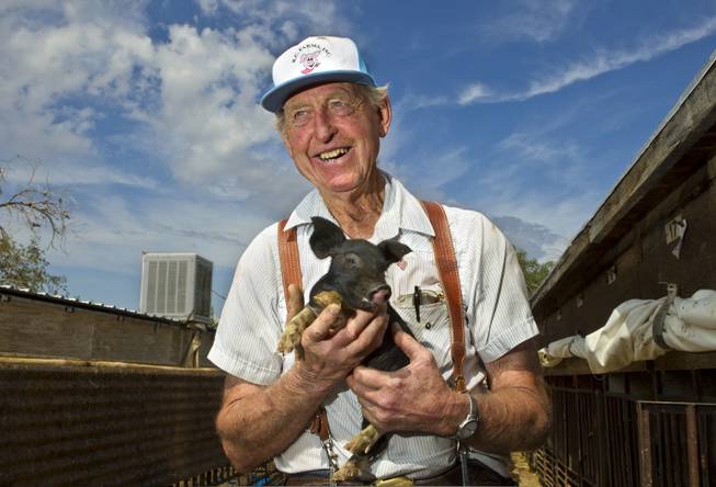 Bob Combs of R.C. Farms Inc. holds one of his many piglets on Wednesday, Aug. 13, 2014.