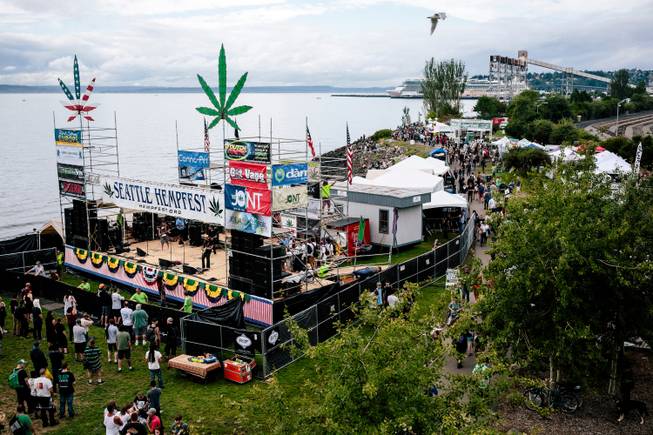 Crowds begin to fill the grounds for Hempfest, Seattle's annual gathering to advocate the decriminalization of marijuana, Friday, Aug. 15, 2014, at Myrtle Edwards Park in Seattle.