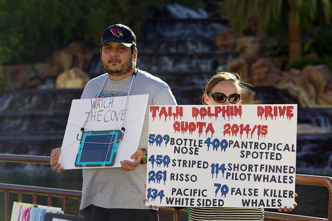 Damian Arjona, left, and Shelly Rae protest against Japanese dolphin hunting in front of the Mirage Sunday, Aug. 30, 2014. Arjona plays The Cove PSA" on his iPad. The Cove is a 2009 documentary on the annual dolphin hunt and capture in Taiji, Japan.