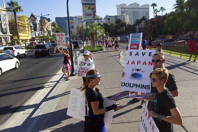 Activists picket in front of the Mirage Sunday, Aug. 30, 2014. About 30 people came out to protest the annual capture and killing of dolphins in Taiji, Japan.