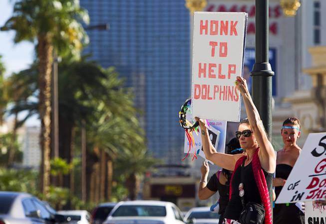 Debora Toro holds a sign and a tambourine during a protest in front of the Mirage Sunday, Aug. 30, 2014. About 30 people came out to protest the annual capture and killing of dolphins in Taiji, Japan.