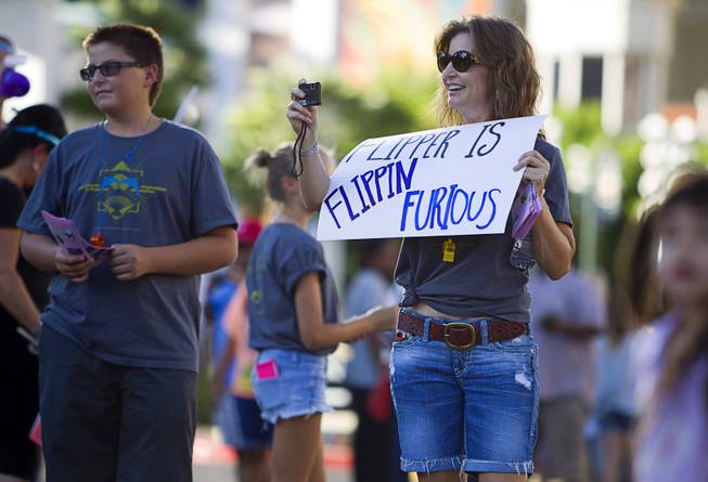 Joann Eastman of Lake Havasu takes photos during a protest in front of the Mirage Sunday, Aug. 30, 2014. About 30 people came out to protest the annual capture and killing of dolphins in Taiji, Japan.