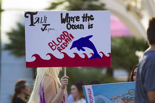 An activist holds a sign during a protest in front of the Mirage Sunday, Aug. 30, 2014. About 30 people came out to protest the annual capture and killing of dolphins in Taiji, Japan.