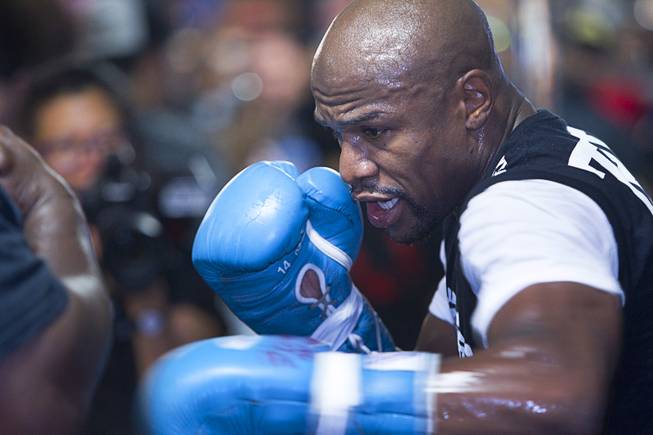 WBC/WBA welterweight champion Floyd Mayweather Jr. hits a body pad worn by co-trainer Nate Jones during a media day at the Mayweather Boxing Club Tuesday, Sept. 2, 2014. Mayweather will face Marcos Maidana of Argentina in a rematch at the MGM Grand Garden Arena on Saturday, Sept. 13.