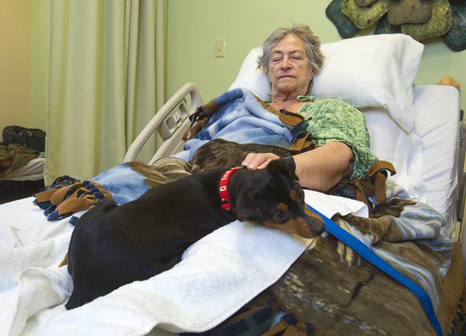 Myrna Rice pets Levi, a 4-year-old Miniature Pinscher, at the Nathan Adelson Hospice in Mountain View Medical Center Wednesday, Sept. 3, 2014.
