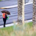 Rain Features: Sept. 7, 2014