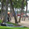 In this photo taken Monday, Sept. 8, 2014, a man sleeps near a surfboard rental stand at Waikiki Beach in Honolulu. 