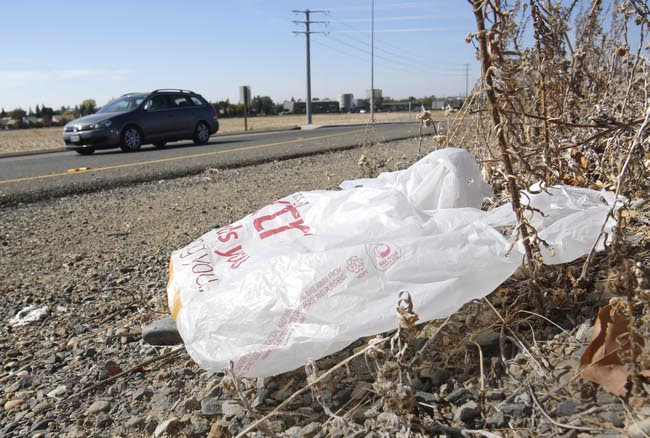 Plastic Bag Ban