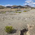 seachlight nevada