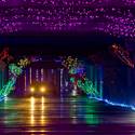 14th Annual Glittering Lights Holiday Extravaganza