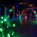 14th Annual Glittering Lights Holiday Extravaganza