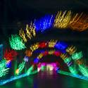 14th Annual Glittering Lights Holiday Extravaganza