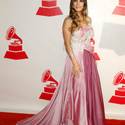 2014 Latin Recording Academy Person of the Year Tribute