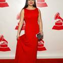 2014 Latin Recording Academy Person of the Year Tribute