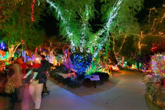 The Cactus Garden at Ethel M Chocolate Factory is lit with holiday lights Wednesday, Nov. 19, 2014, in Henderson.

