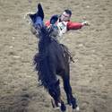 2014 NFR Opens in Las Vegas