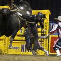 2014 NFR Opens in Las Vegas