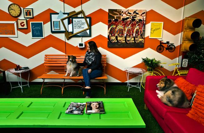 Erika Szymanowski with dogs Rick and Riley relax in Central Park within the Trend Nation 33,000 square foot facility in Las Vegas on Tuesday, December 16, 2014. L.E. Baskow.