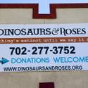 Dinosaurs & Roses Thrift Store