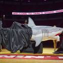 Tribute Honors Coach Jerry Tarkanian