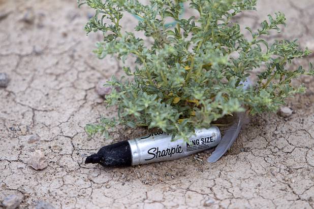 A permanent marker is shown in the desert  by the Las Vegas Wash channel near Pecos Road and Lake Mead Boulevard Tuesday, June 9, 2015.