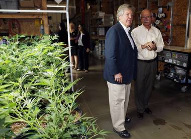 In this photo taken Saturday, April 25, 2015, Nevada Sen. Tick Segerblom and Ronald Dreher, government affairs director for Peace Officers Research Association of Nevada, pass by an area with marijuana plants under cultivation as Nevada lawmakers, their staffers and lobbyists toured two retail and grow operations for medical and recreational marijuana in northeast Denver. 