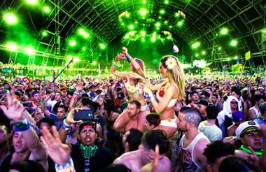 Fans get a better view as the beat picks up while watching Arty at Circuit Grounds during the first night of the 2015 Electric Daisy Carnival on Friday, June 19, 2015, at Las Vegas Motor Speedway.