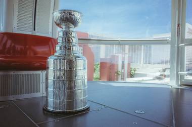 At the after-party of the 2009 NHL Awards at Palms Pool, a fan who had succumbed to revelry leapt into the water and began swimming toward an object standing on a platform in the middle of the water. No ordinary object, this. It was ...