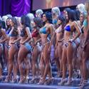 2015 Miss Hooters International