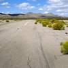 Shrubs grow from cracks in the Searchlight Airport runway Sunday, Sept. 28, 2014, in Searchlight.
