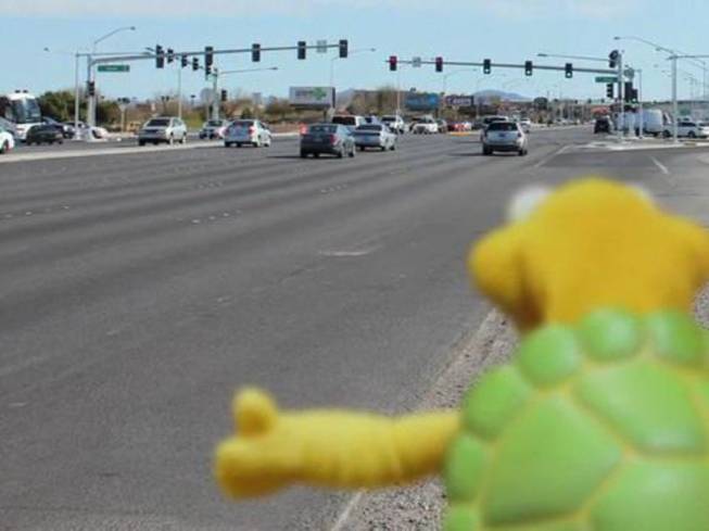 Winston the Impersonating Turtle hitchhikes.