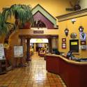 Bob Ansara: President of Ricardo's