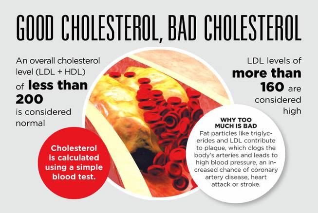 HCA Sunrise Cholesterol web image