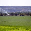Eleven Homes Destroyed by Willow Fire
