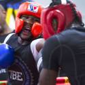 Floyd Mayweather Jr. Arrives In Swedish Supercar