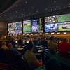 Football fans watch games during NFL opening day at the Red Rock Resort's race and sportsbook Sunday, Sept. 13, 2015.