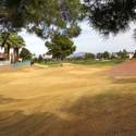 Palm Valley Golf Course in Summerlin