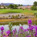Palm Valley Golf Course in Summerlin