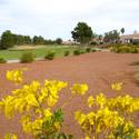 Palm Valley Golf Course in Summerlin
