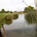 Palm Valley Golf Course in Summerlin